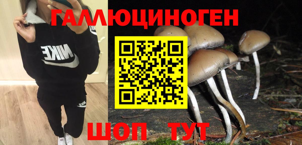 Галлюциногенные грибы мицелий Пугачёв
