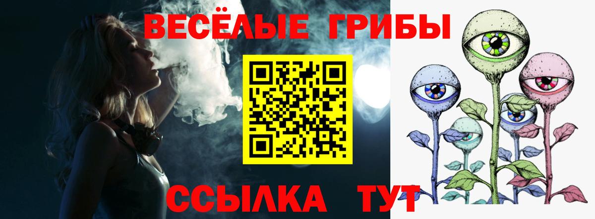 Пугачёв  Галлюциногенные грибы Psilocybine cubensis  Псилоцибиновые грибы мухоморы  купить наркотики сайты  Вход с VPN 